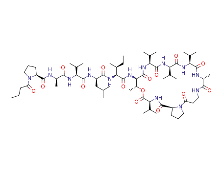 xenoamicin A