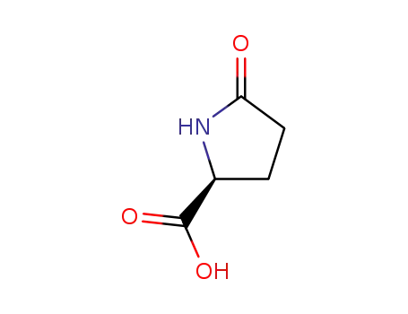 L-Pyroglutamic acid