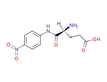 α-glutamyl p-nitroanilide